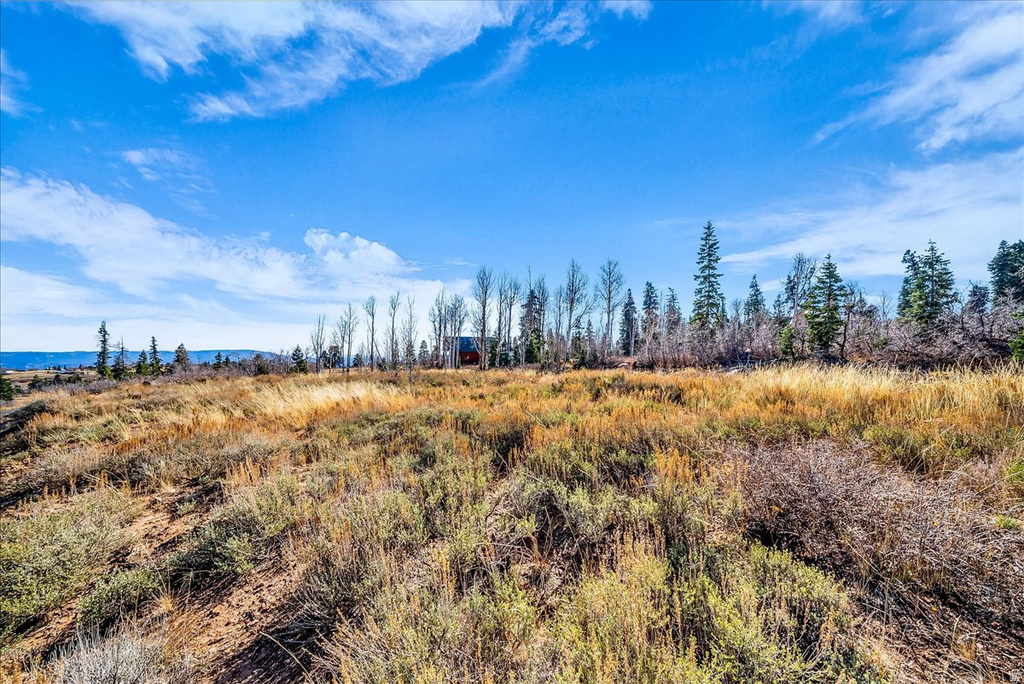 367 N SPRING DR Virgin, UT 84779