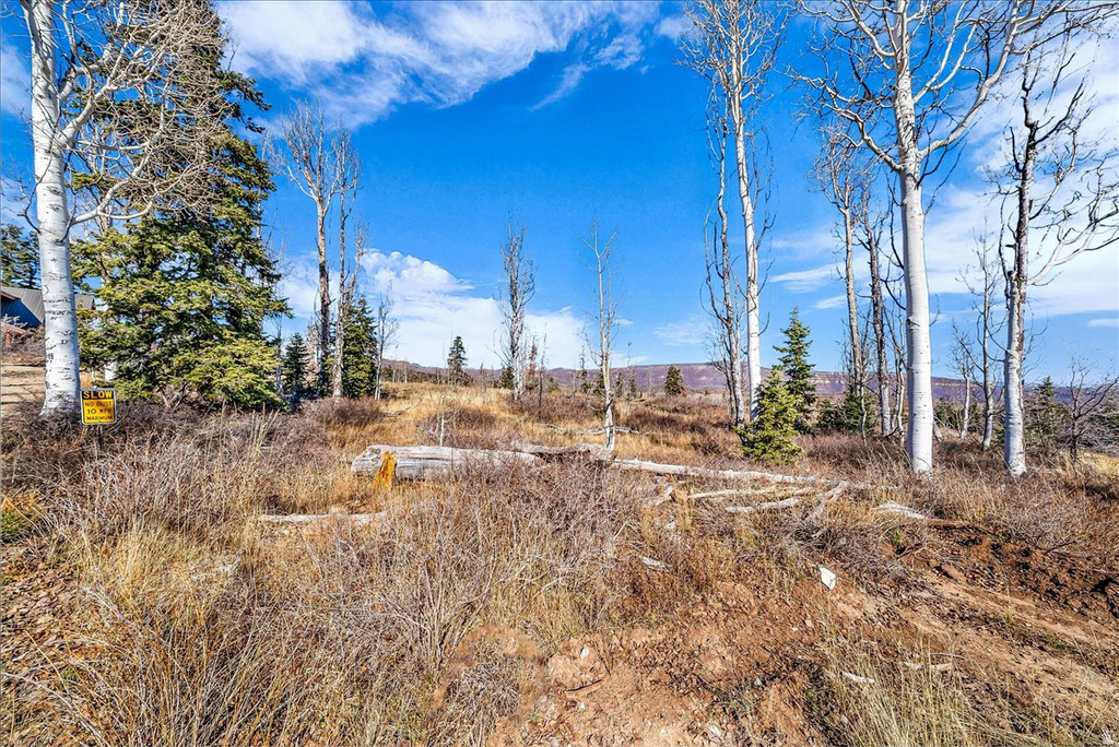 367 N SPRING DR Virgin, UT 84779