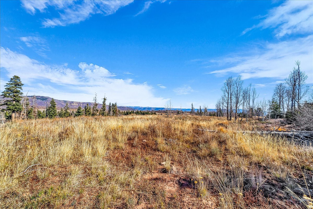 367 N SPRING DR Virgin, UT 84779