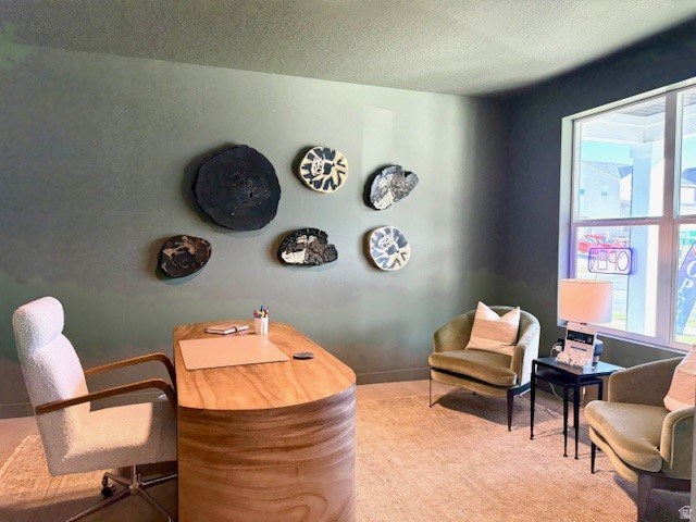 1002 W NETLEAF ST #126 Saratoga Springs, UT 84045