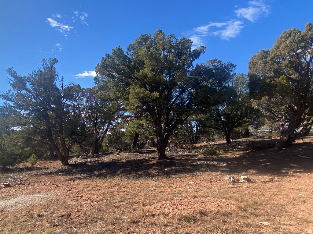 45870 W COLT RD Fruitland, UT 84027