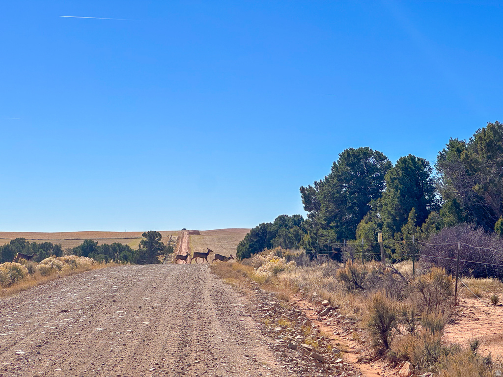  Monticello, UT 84535