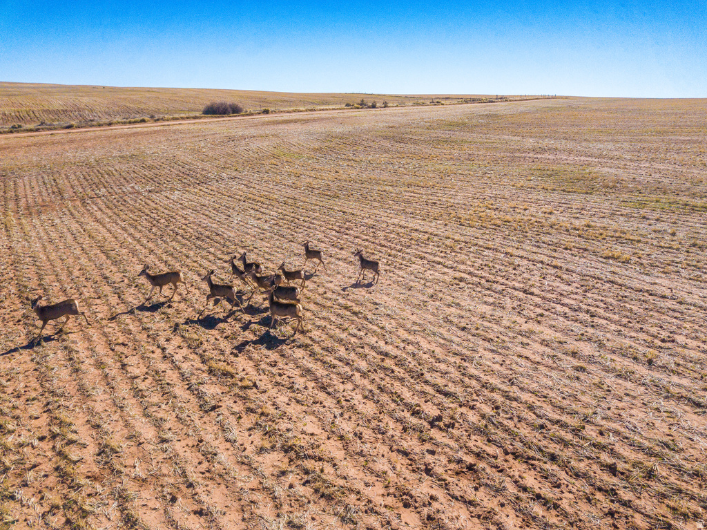  Monticello, UT 84535