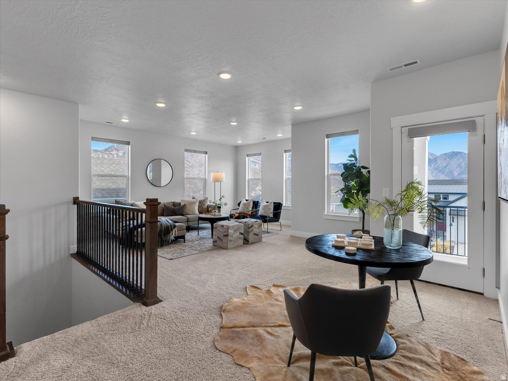 14678 S SILVER BLOSSOM WAY Draper, UT 84020