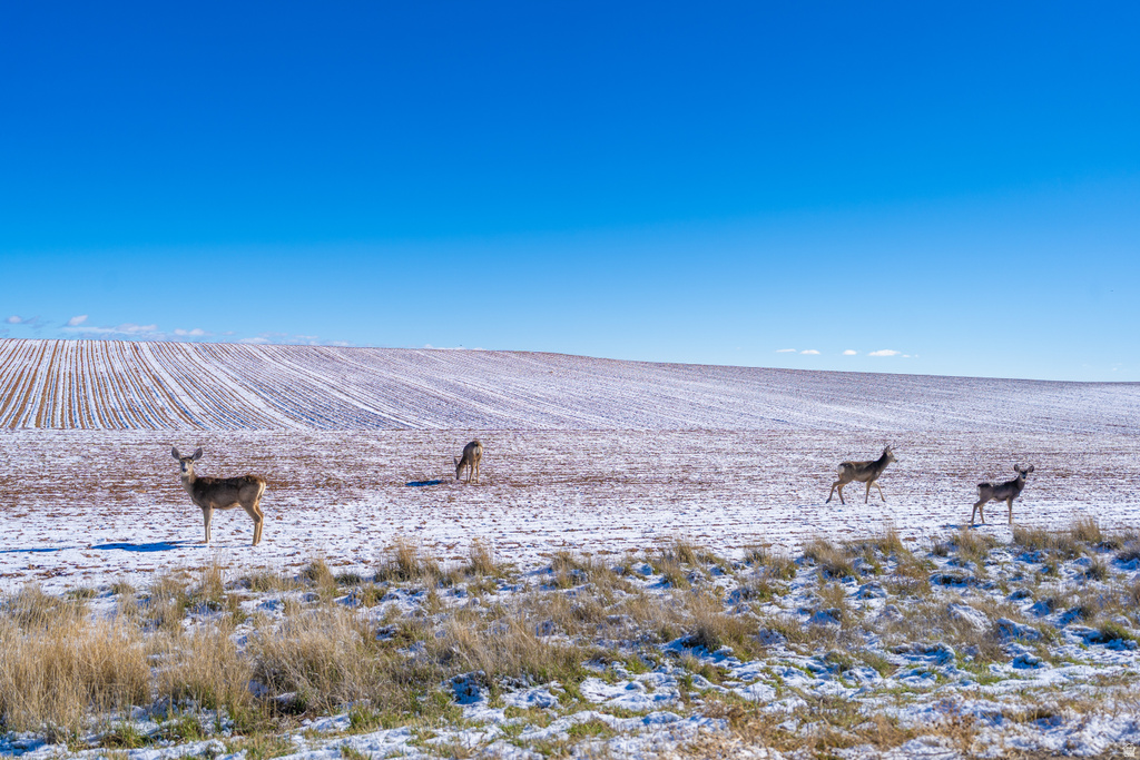  Monticello, UT 84535