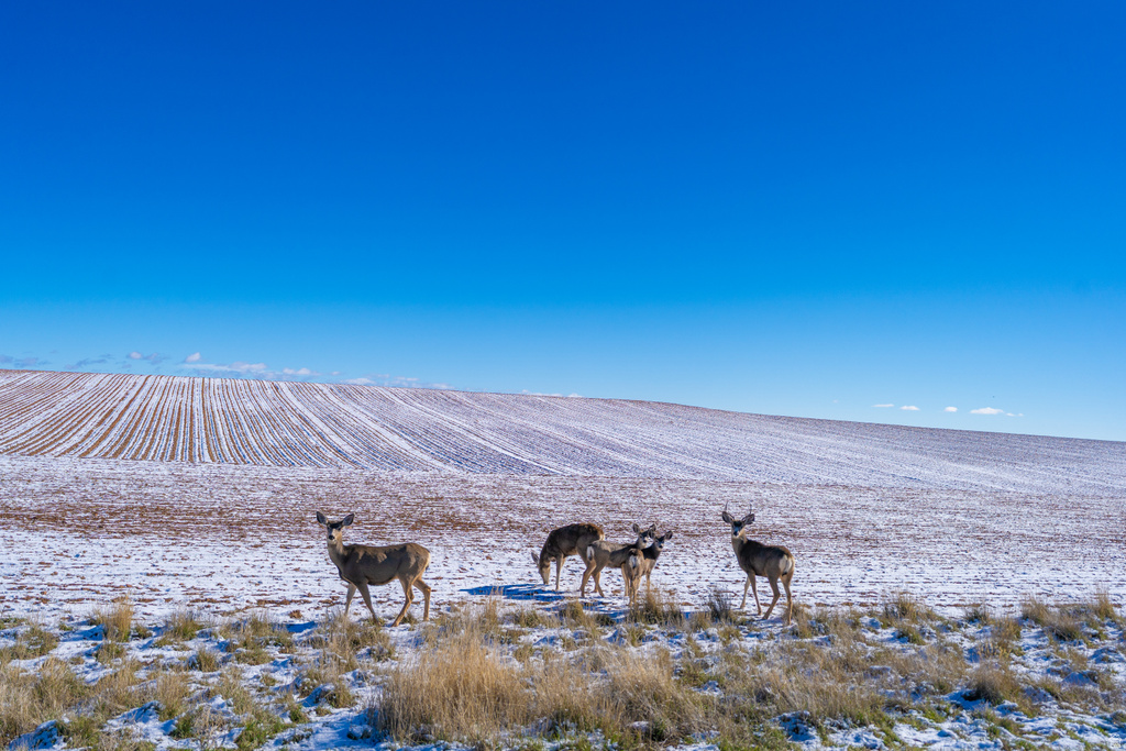  Monticello, UT 84535