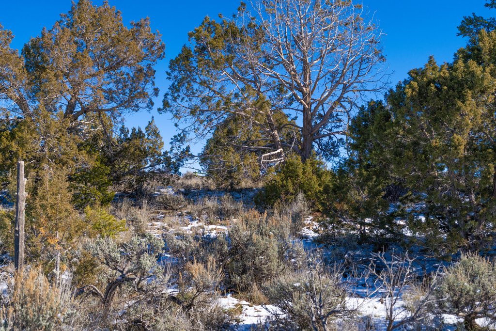  Monticello, UT 84535