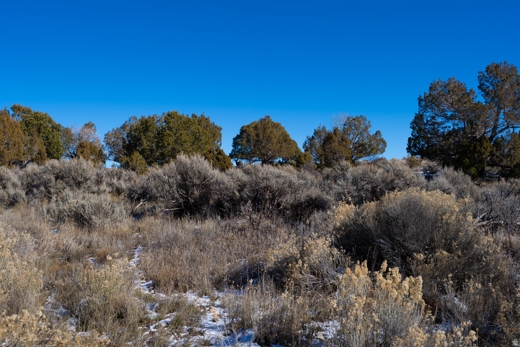  Monticello, UT 84535