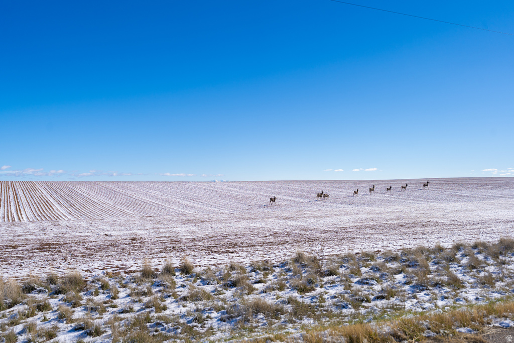  Monticello, UT 84535