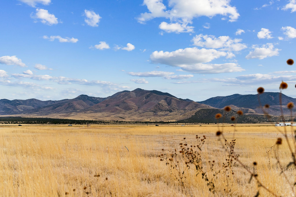 1615 W SUNFLOWER LN Fillmore, UT 84631