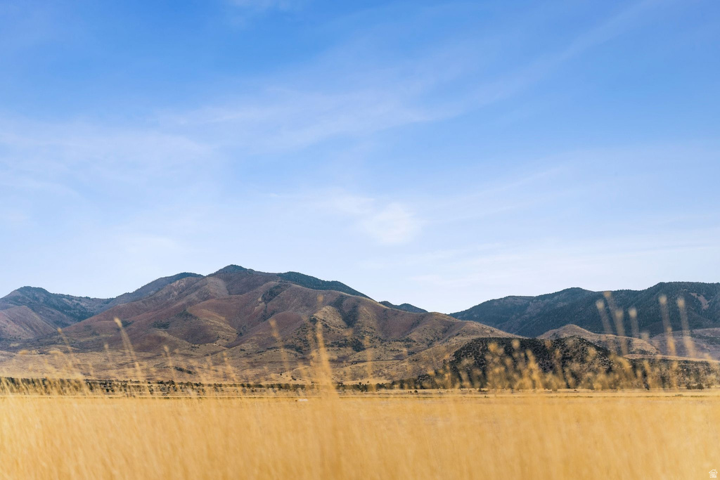 1565 W SUNFLOWER LN Fillmore, UT 84631