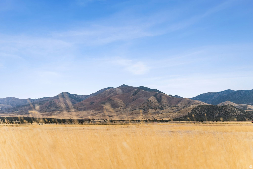 1565 W SUNFLOWER LN Fillmore, UT 84631