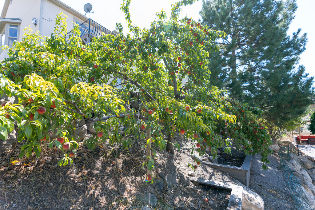 10514 N DORAL DR Cedar Hills, UT 84062