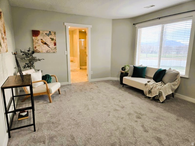 1370 S 1500 W Springville, UT 84663