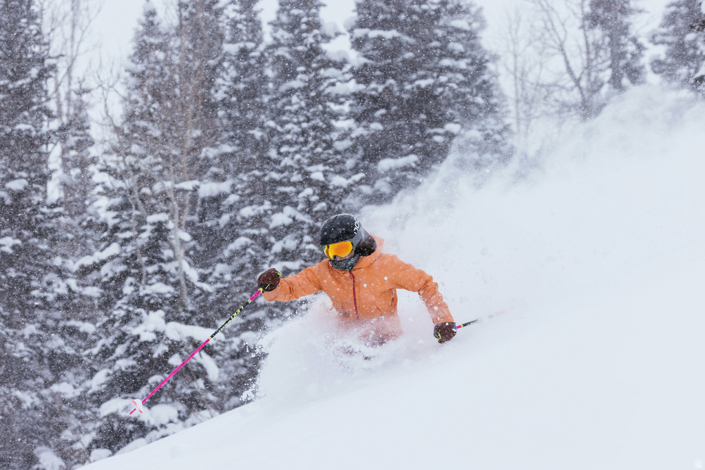 1803 W HORN CT #17 Park City, UT 84060