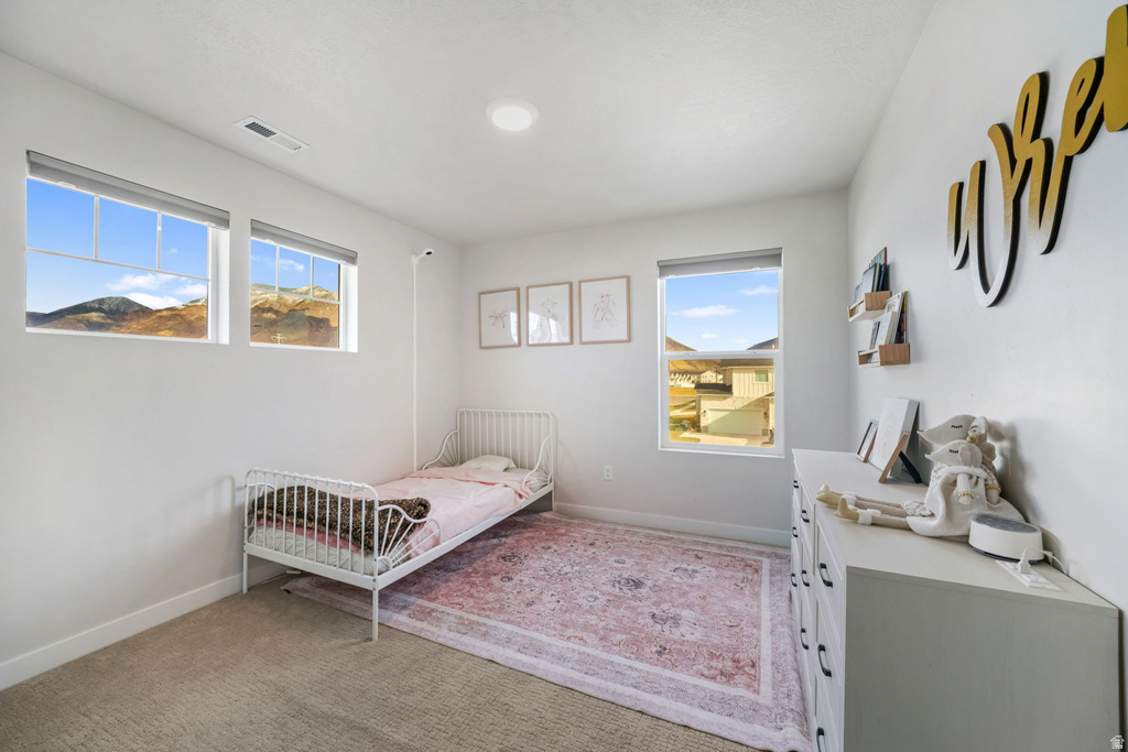 1343 W 1250 S Springville, UT 84663