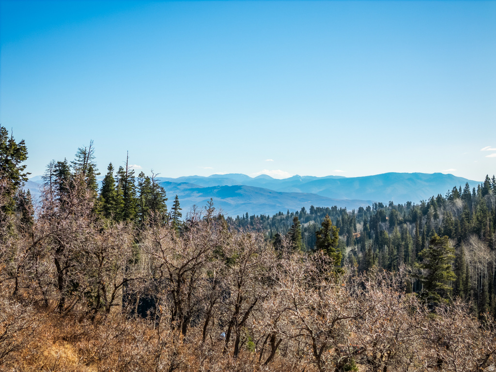 1678 W ALEXANDER CANYON RD Coalville, UT 84017