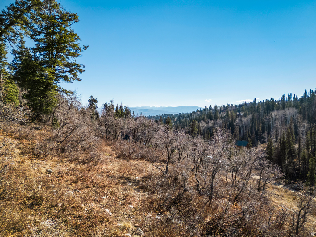 1678 W ALEXANDER CANYON RD Coalville, UT 84017