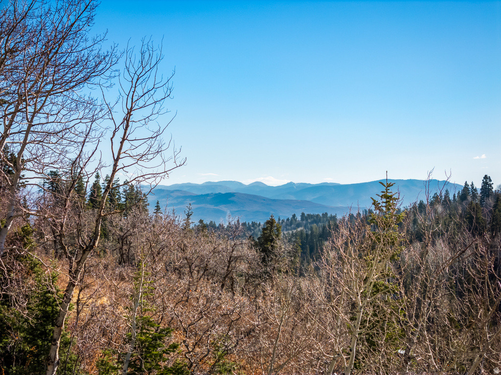 1678 W ALEXANDER CANYON RD Coalville, UT 84017