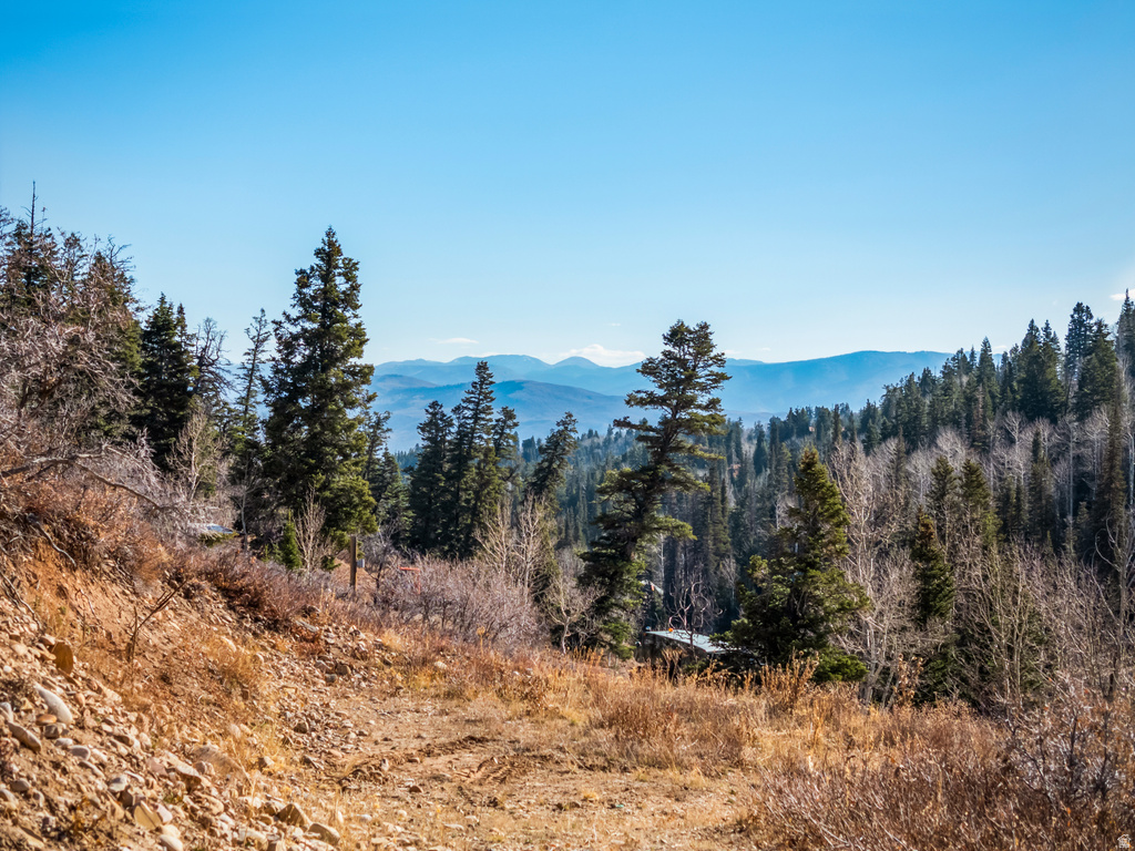 1678 W ALEXANDER CANYON RD Coalville, UT 84017