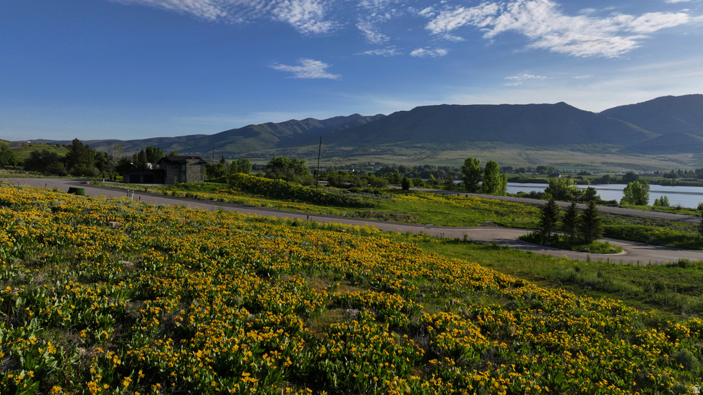 1172 N VALLEY DR Eden, UT 84310