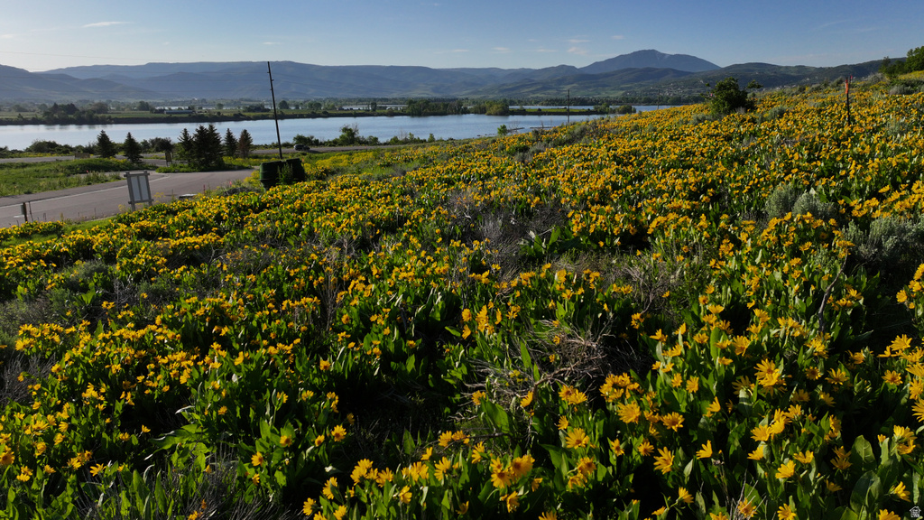 1172 N VALLEY DR Eden, UT 84310