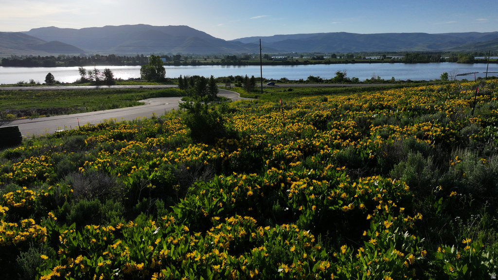 1172 N VALLEY DR Eden, UT 84310