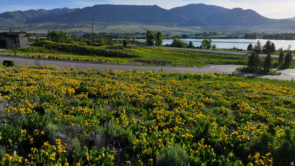 1172 N VALLEY DR Eden, UT 84310