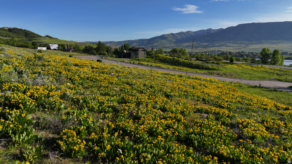 1172 N VALLEY DR Eden, UT 84310