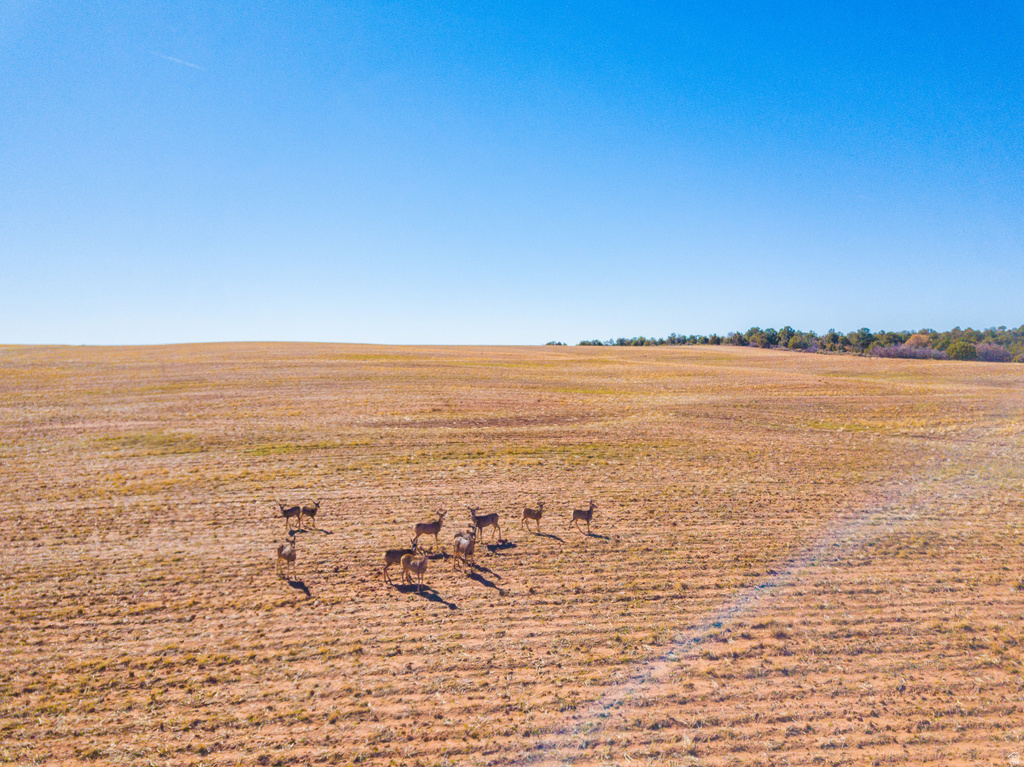  Monticello, UT 84535