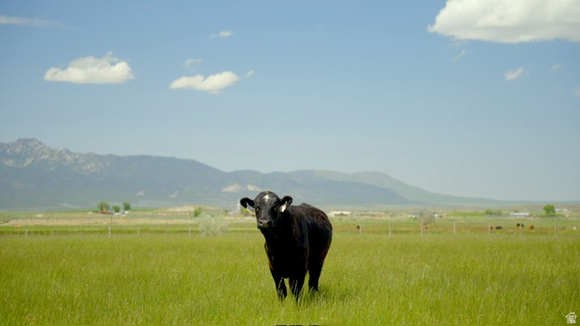 500 S 200 W Greenville, UT 84731