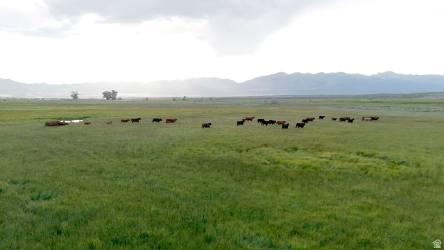 500 S 200 W Greenville, UT 84731