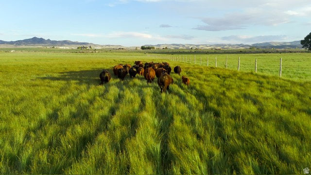 500 S 200 W Greenville, UT 84731