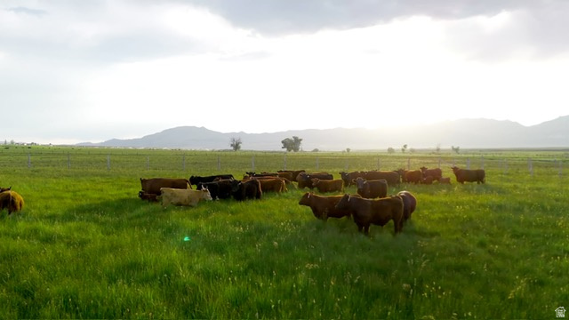 500 S 200 W Greenville, UT 84731