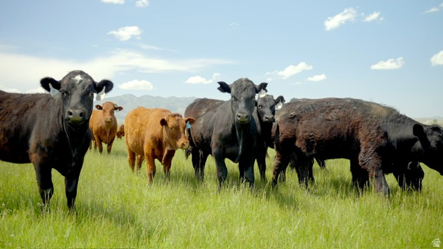 500 S 200 W Greenville, UT 84731