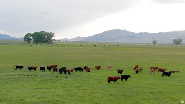 500 S 200 W Greenville, UT 84731