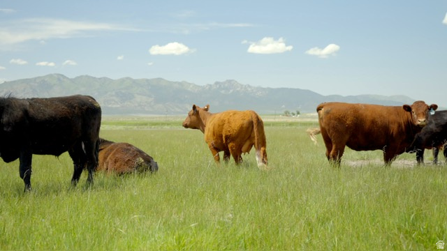 500 S 200 W Greenville, UT 84731