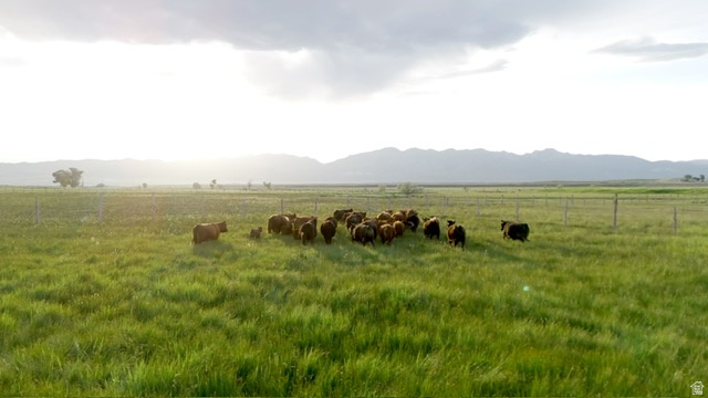 500 S 200 W Greenville, UT 84731