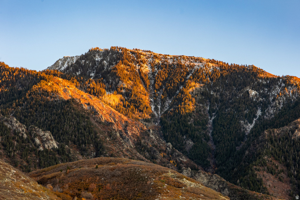 3149 E 10000 S Sandy, UT 84092