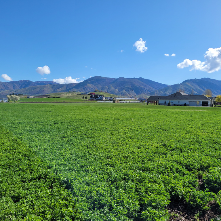 377 E 8900 S Paradise, UT 84328