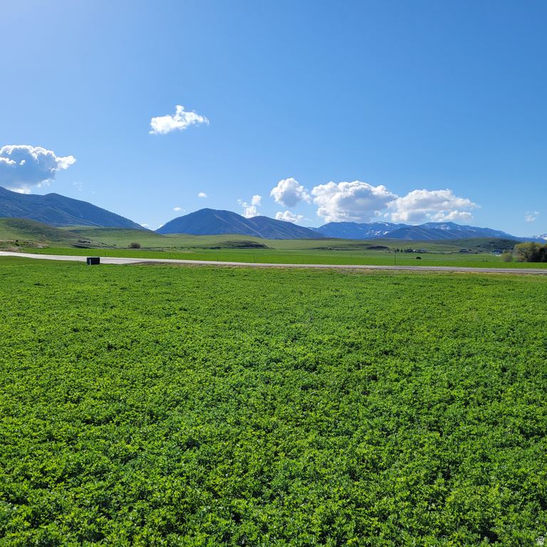 377 E 8900 S Paradise, UT 84328