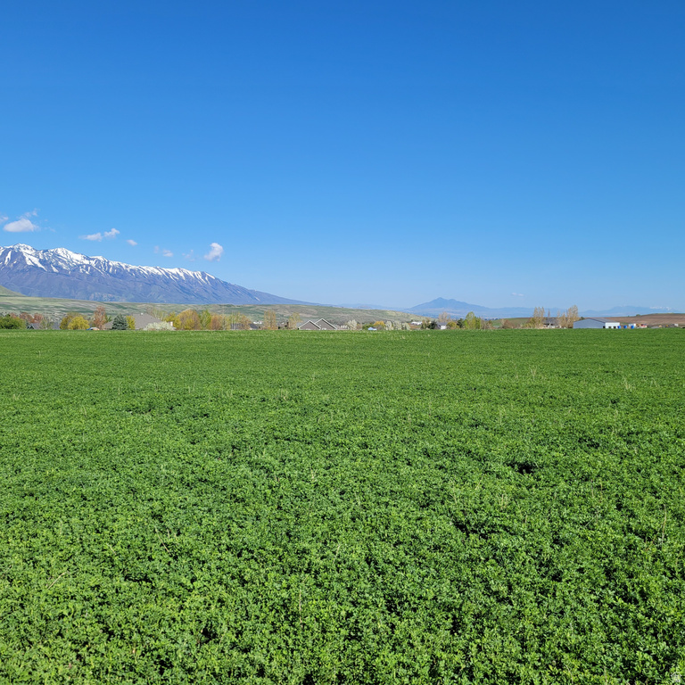 377 E 8900 S Paradise, UT 84328