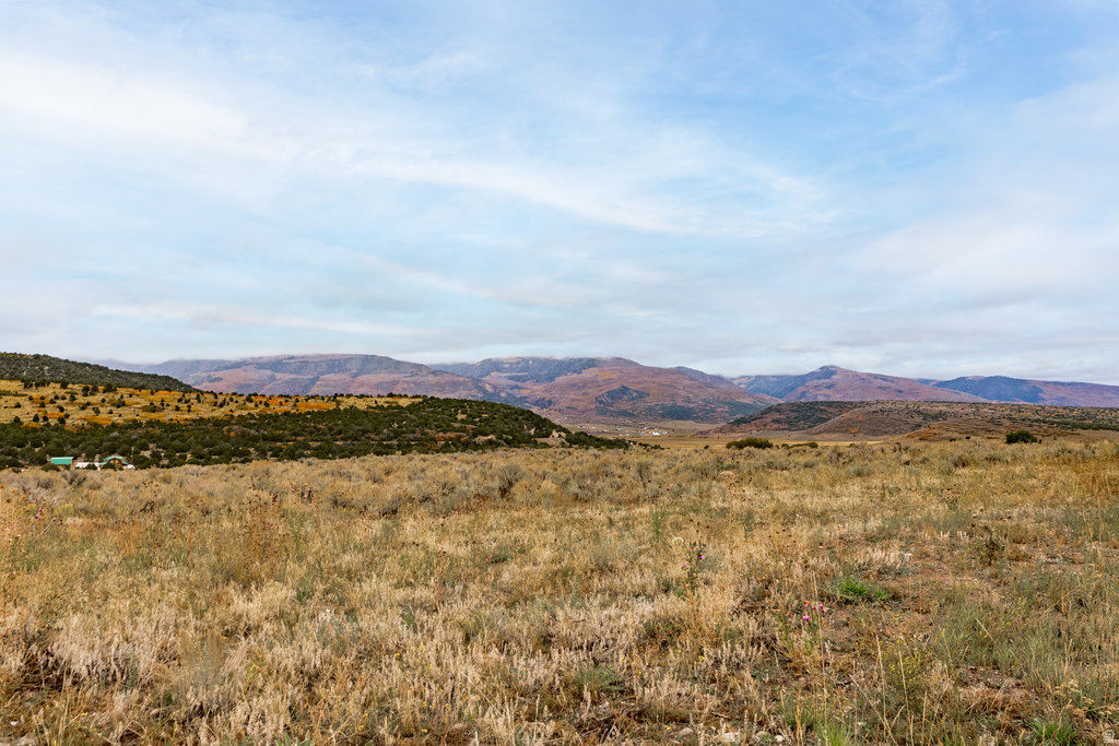 29665 N 9000 E Fairview, UT 84629