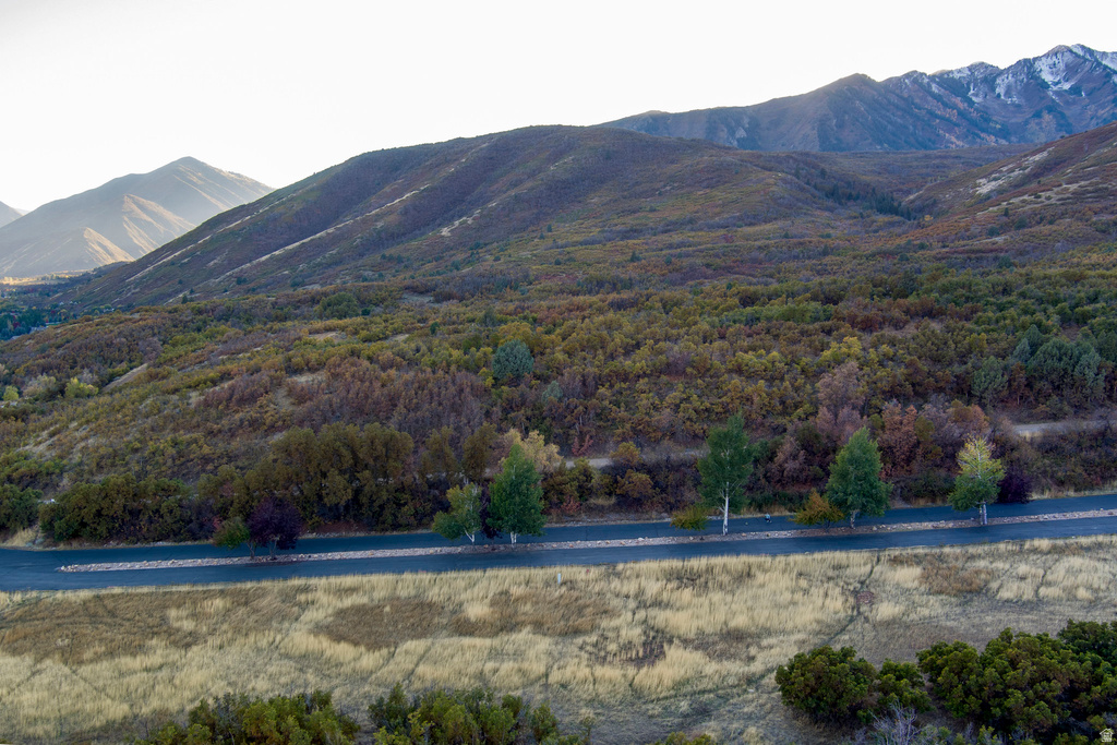 151 S MEADOW DR Springville, UT 84663