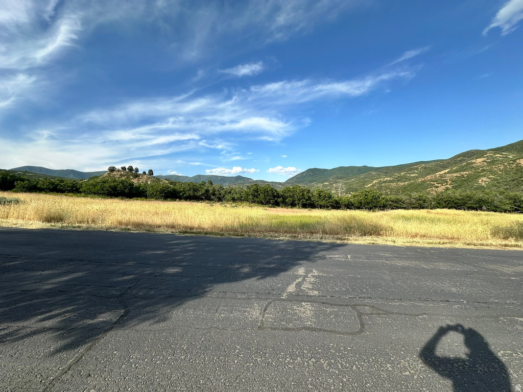 151 S MEADOW DR Springville, UT 84663