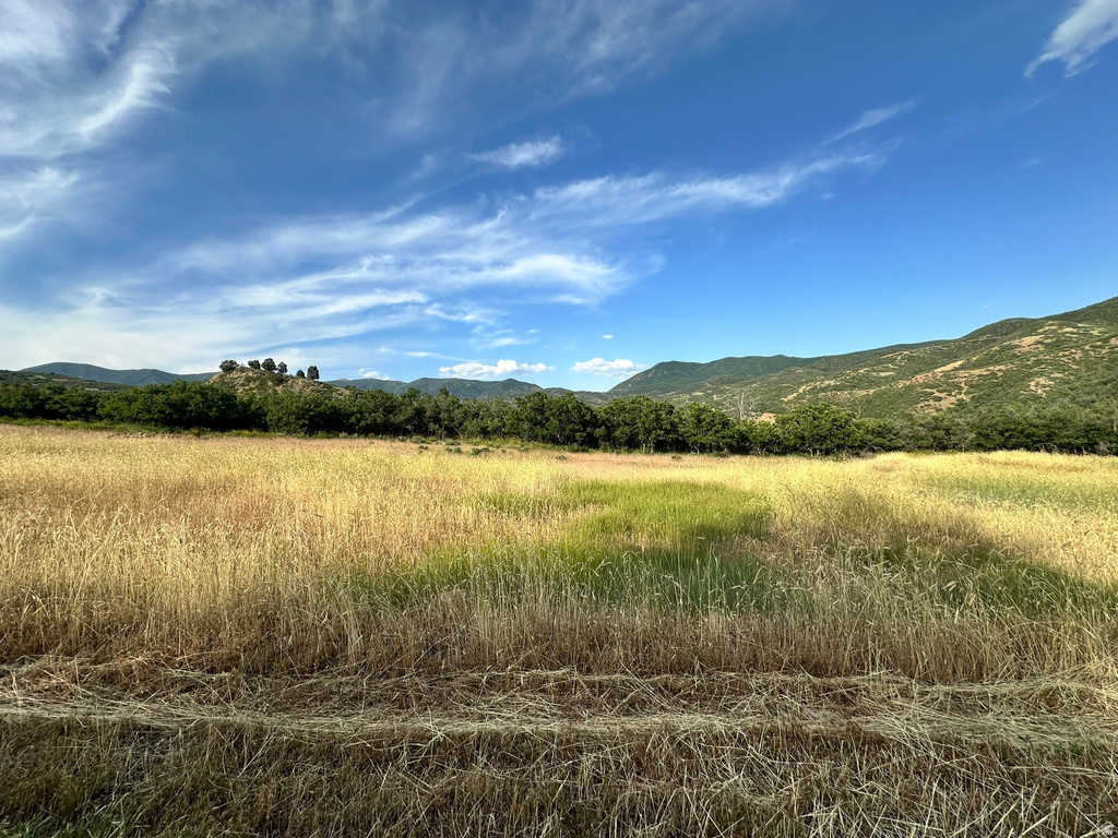 151 S MEADOW DR Springville, UT 84663