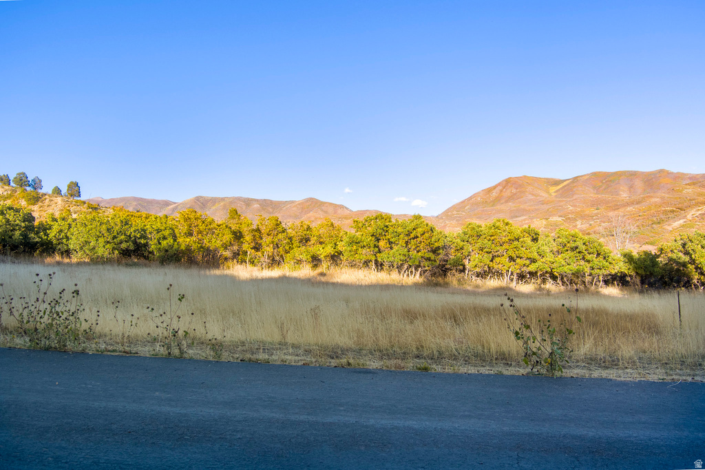 151 S MEADOW DR Springville, UT 84663