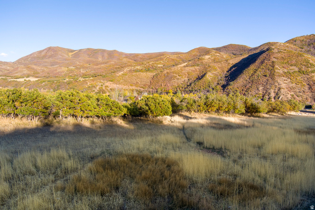 151 S MEADOW DR Springville, UT 84663