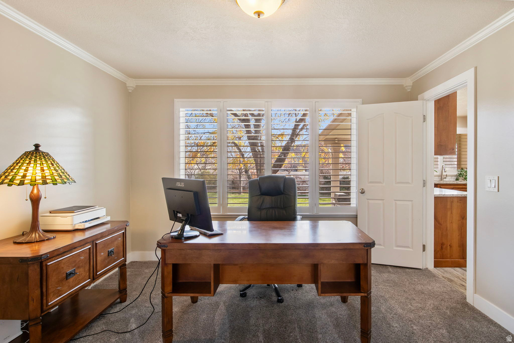 10177 S STATESMAN PL South Jordan, UT 84095