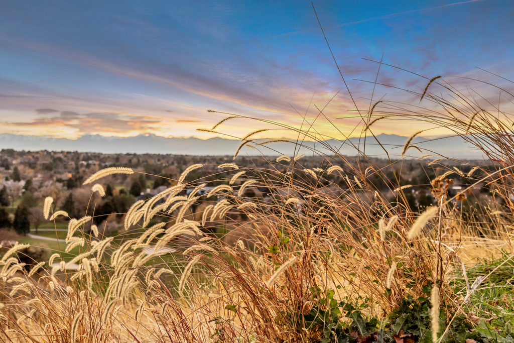 3261 E LANTERN HILL CT Cottonwood Heights, UT 84093